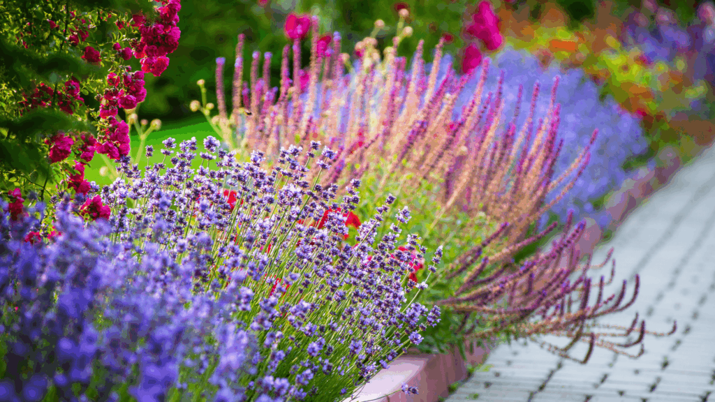 plantation-fleurs-jardin Massif fleuri pour jardin paysager